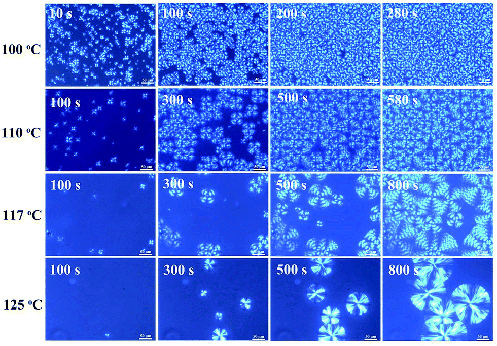 Várias imagens de MEV com crescimento de esferulitos à diferentes isotermas