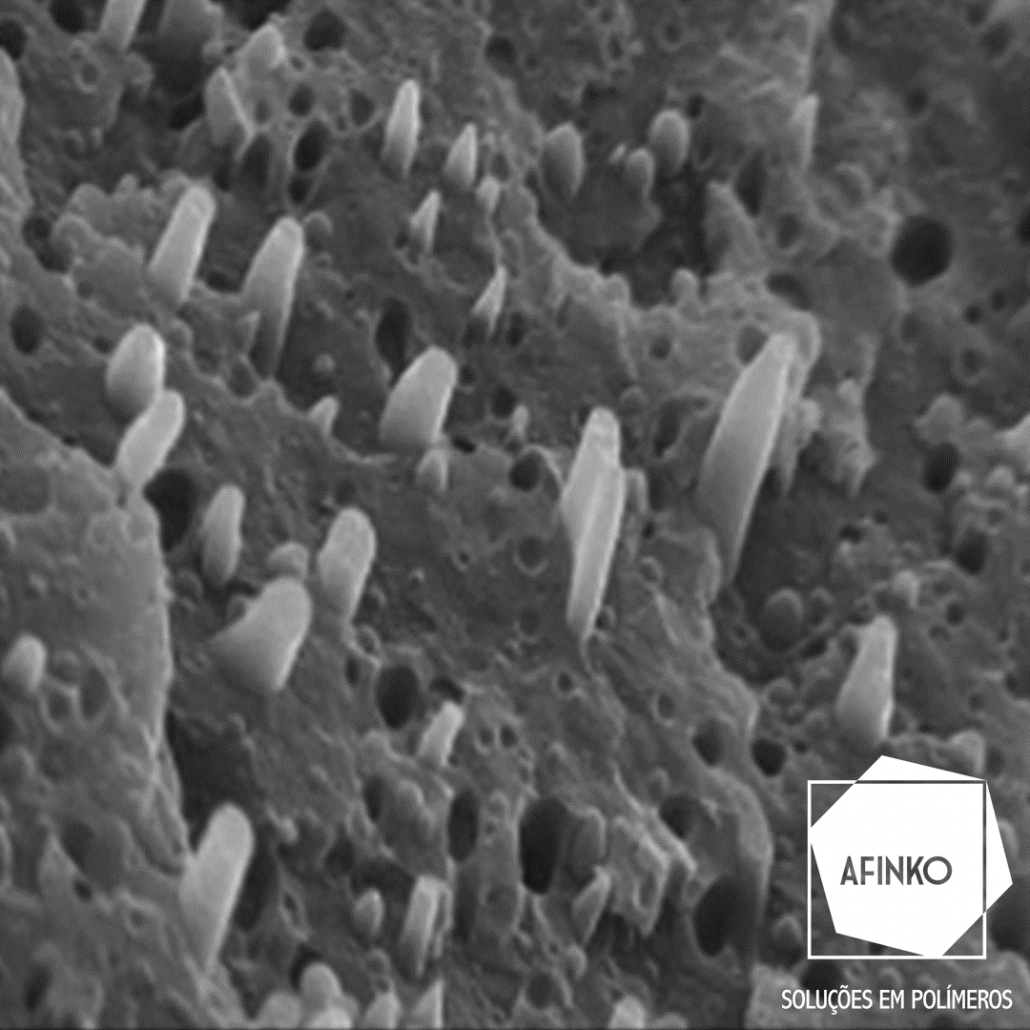 Imagem da estrutura superficial de uma Blenda Polimérica feitas através do MEV.