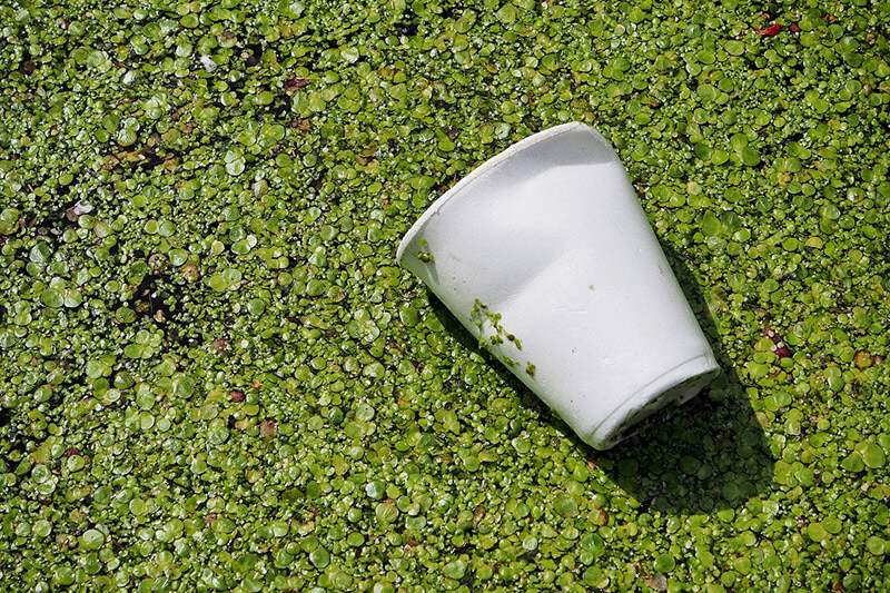 Reciclagem e polímeros biodegradáveis