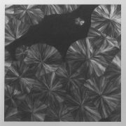 Impacto da adição de agentes de nucleação na tração de polímeros