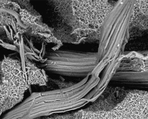 MEV na análise de falhas e defeitos em materiais poliméricos
